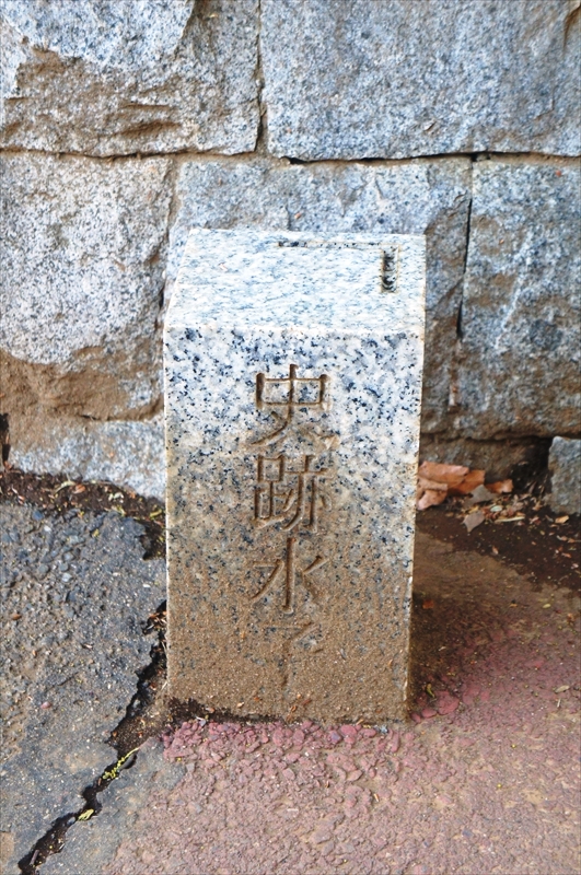 DSC00454_R