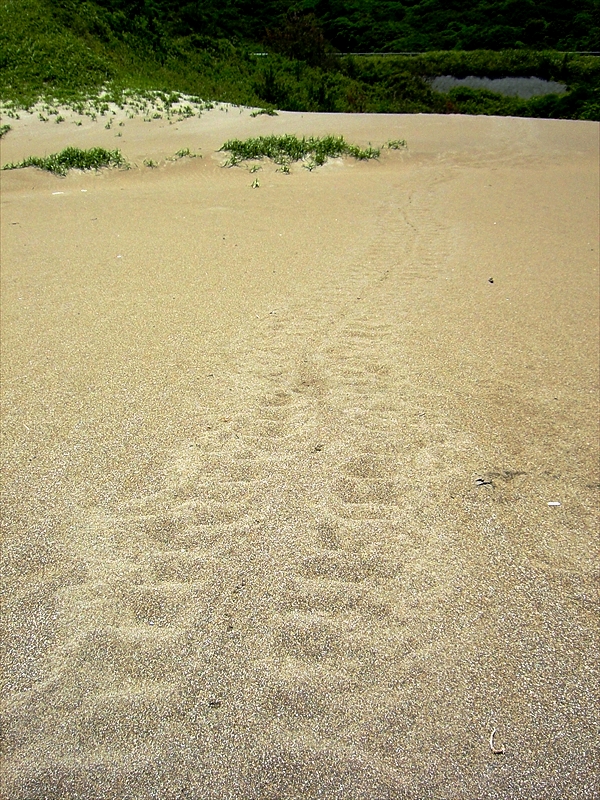 CIMG4641_R