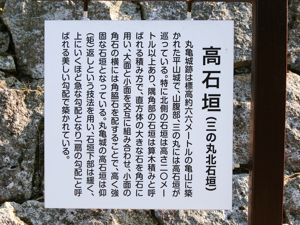 CIMG9661_R
