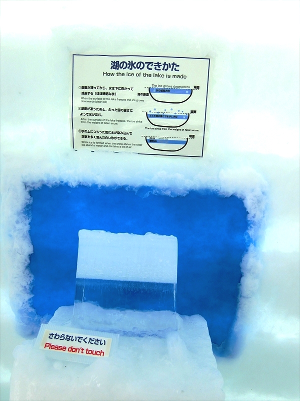 CIMG6906_R
