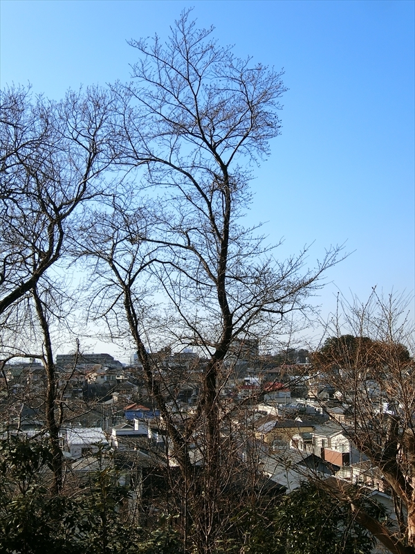 CIMG2331_R