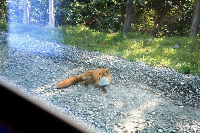 DSC00883_R