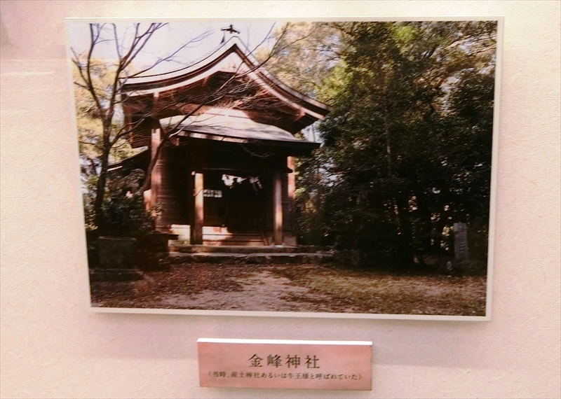 CIMG5989_R