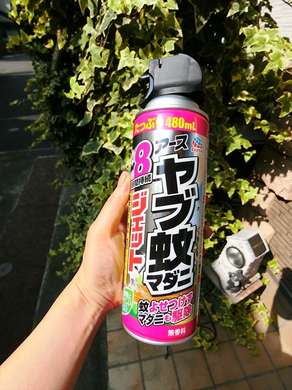 CIMG5839_R