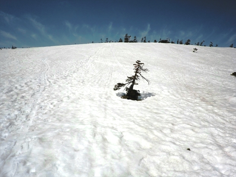 CIMG4554_R