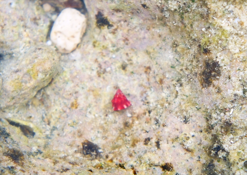 DSC00148_R