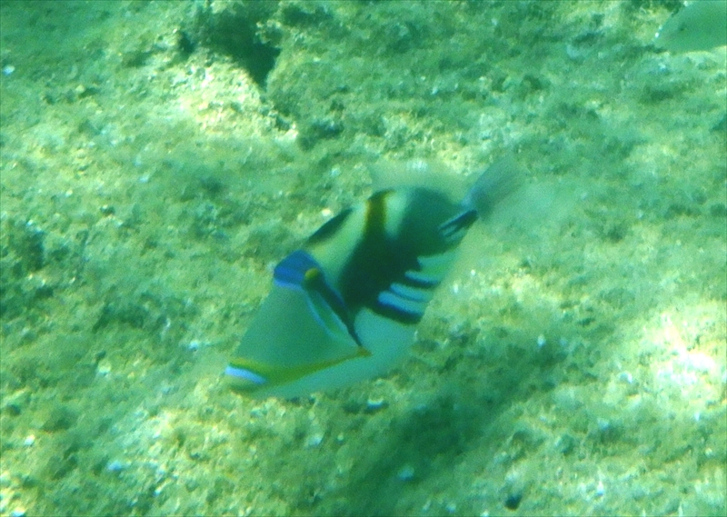R0016838_R