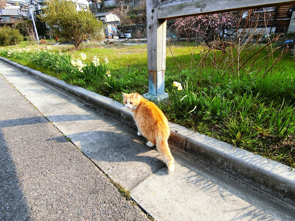 CIMG0159_R