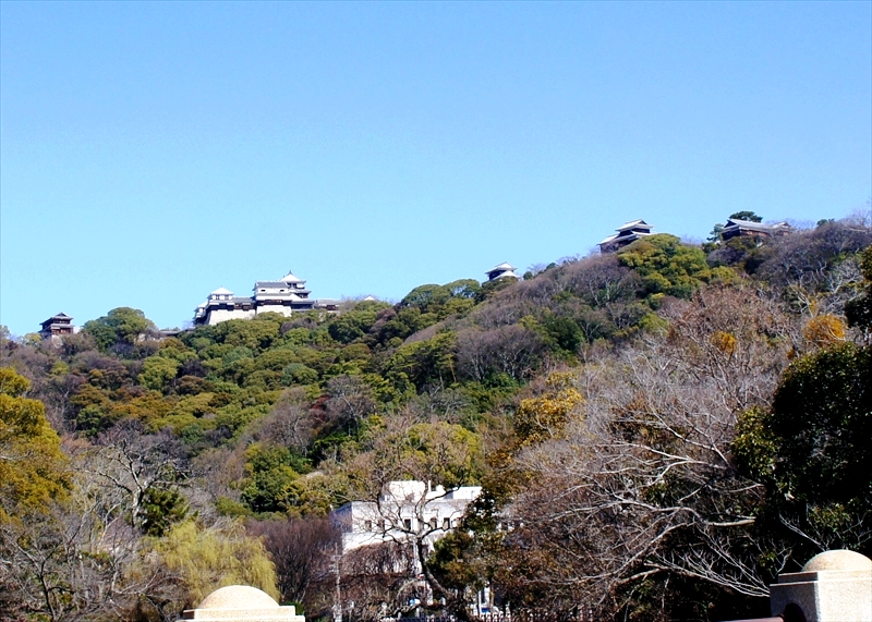 DSC00916_R