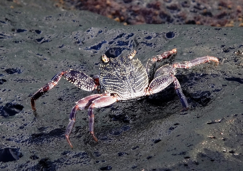 DSC03068_R