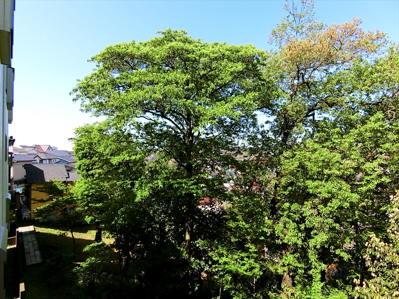 CIMG2498_R