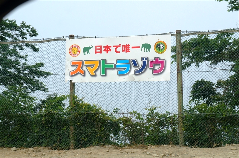 DSC02490_R