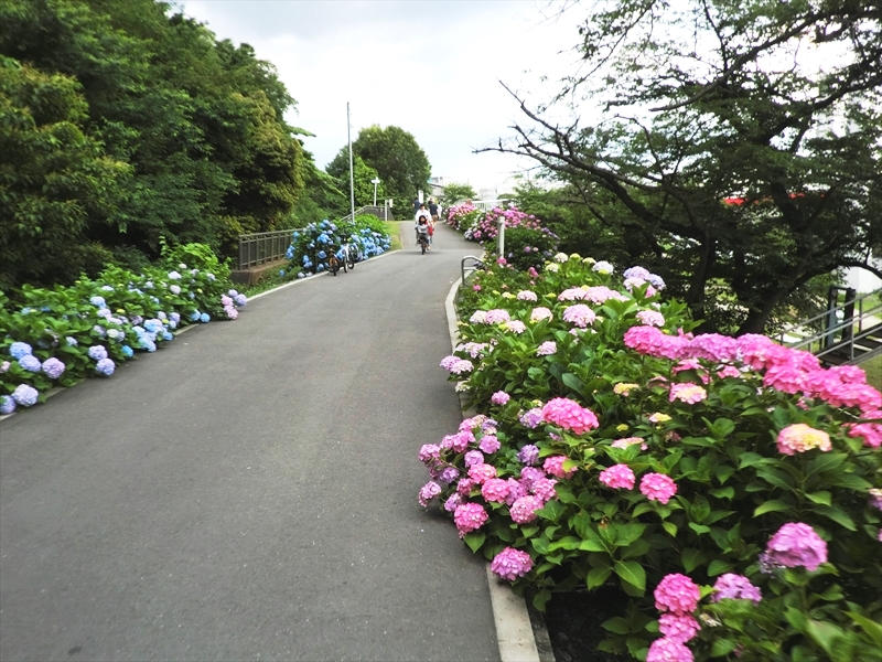 CIMG0181_R