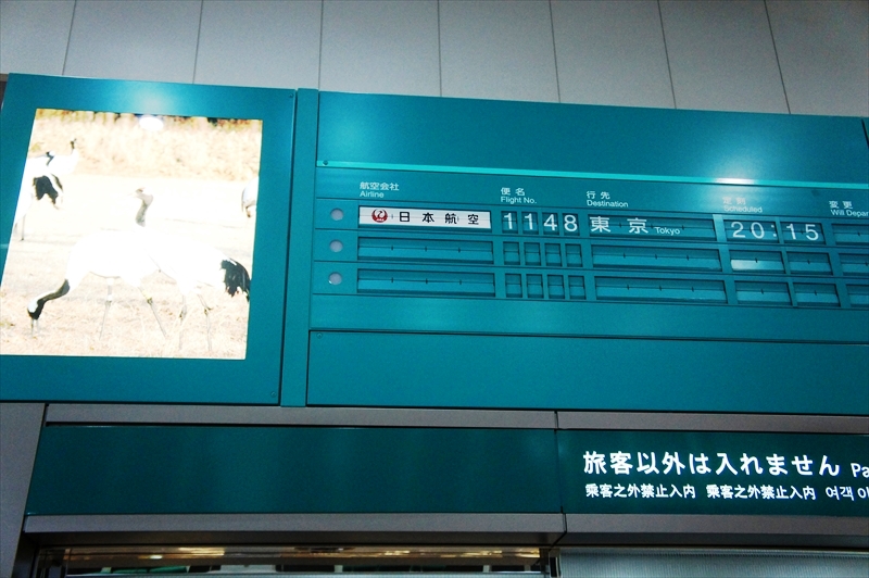 DSC00732_R