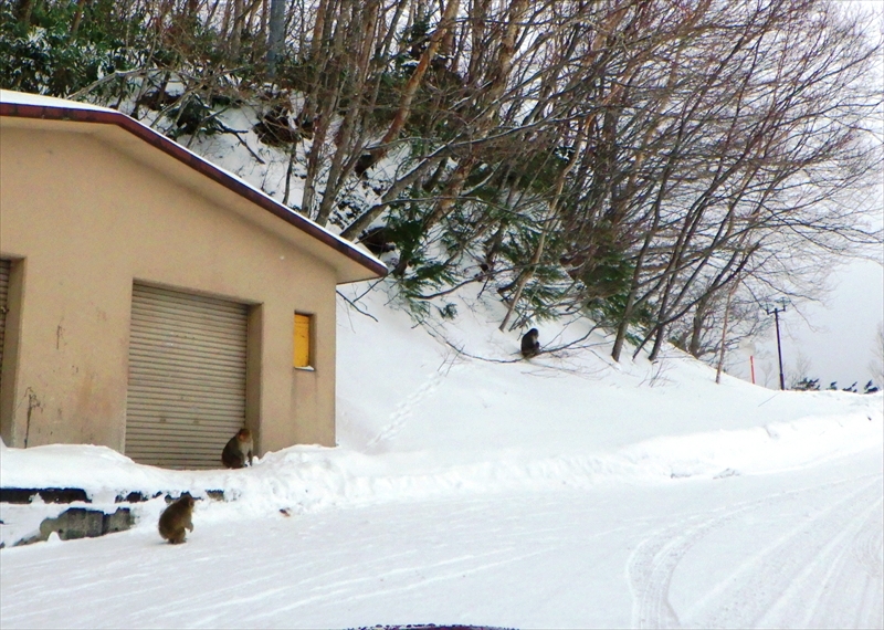 R0013647_R