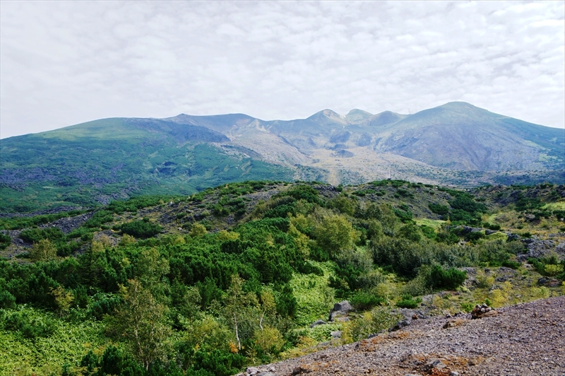 DSC00472_R