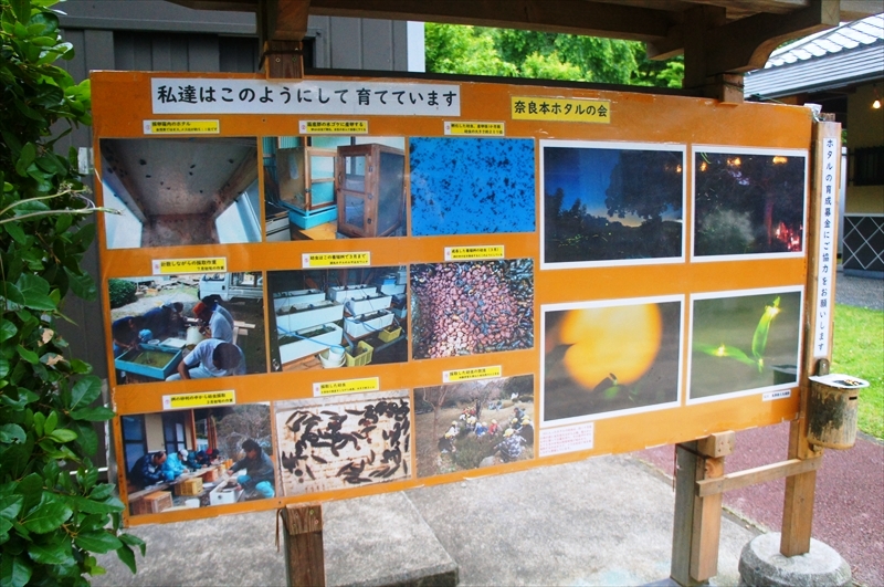 DSC00119_R