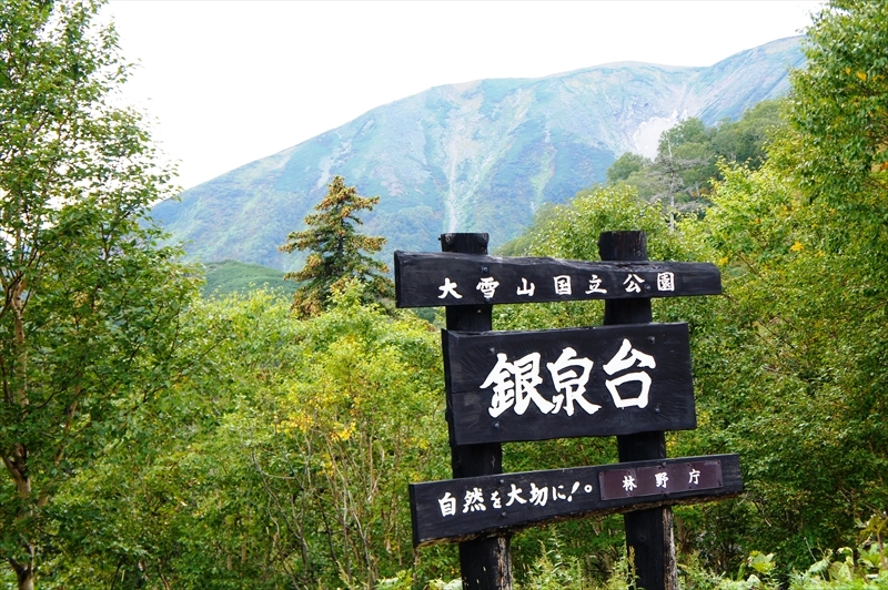 DSC01223_R