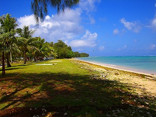 自由時間!