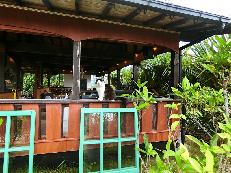 CIMG4192_R
