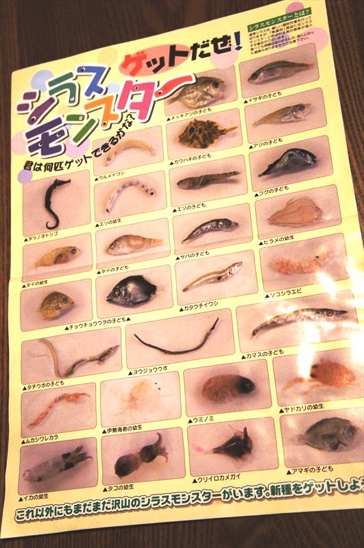 DSC07892_R
