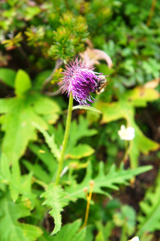 DSC01260_R
