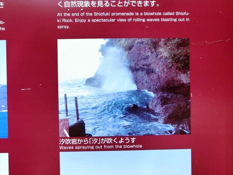 CIMG7933_R
