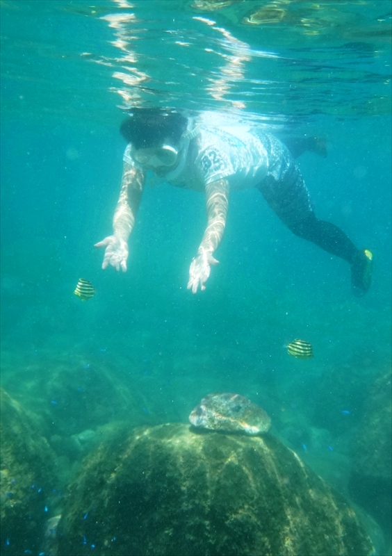 DSC03960_R