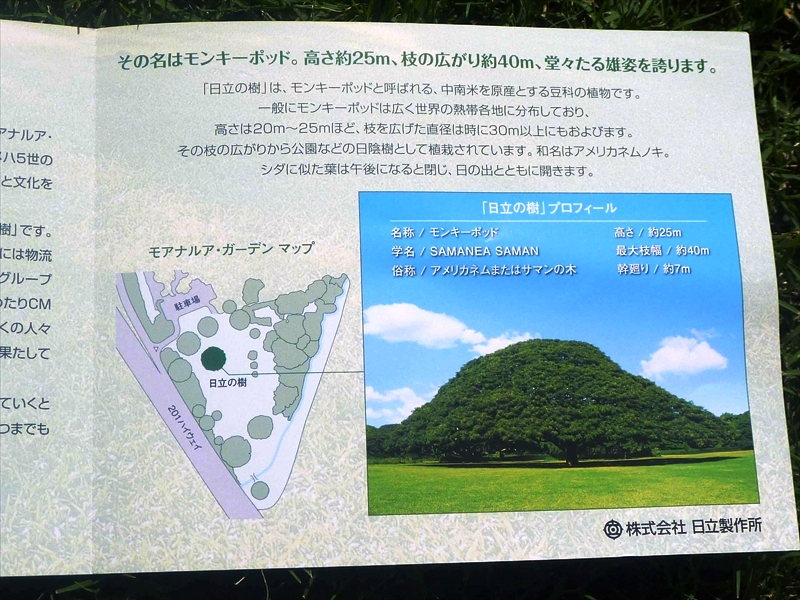 P1100261_R