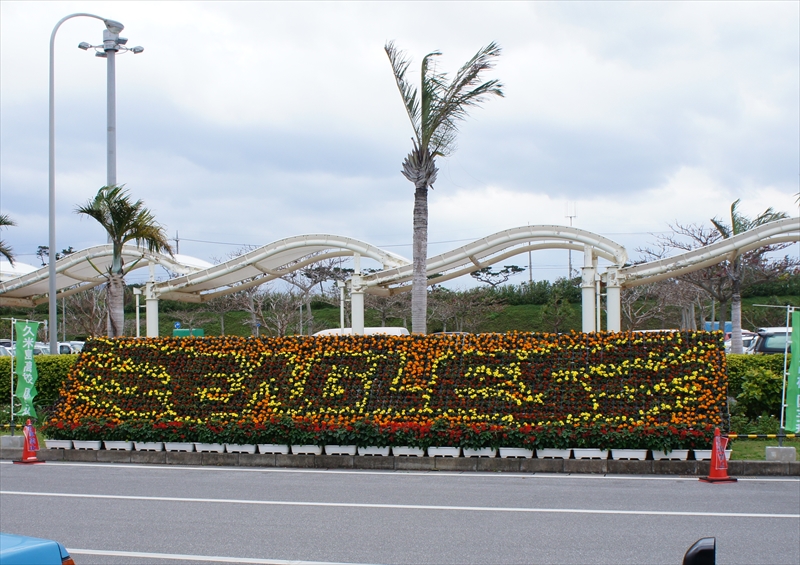 DSC02447_R