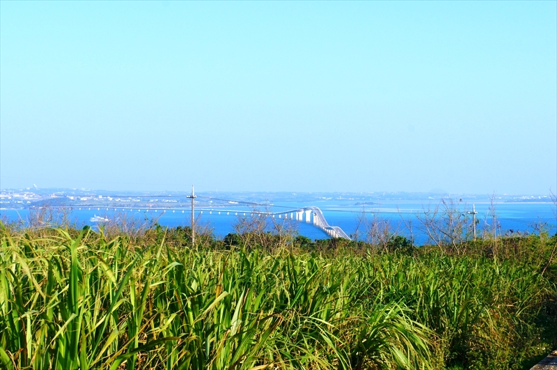 DSC01391_R