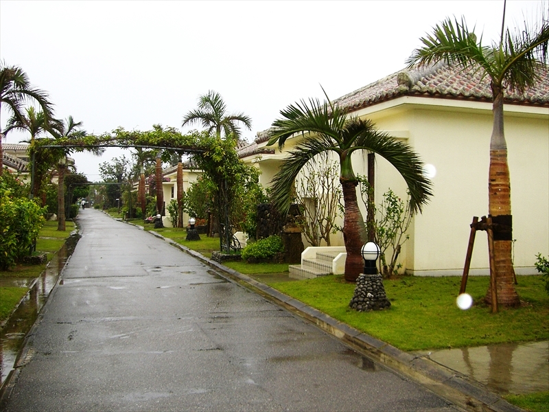 CIMG6882_R