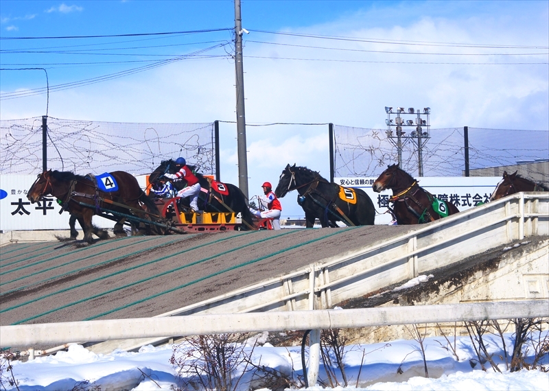 DSC00140_R