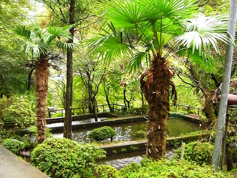 CIMG0985_R