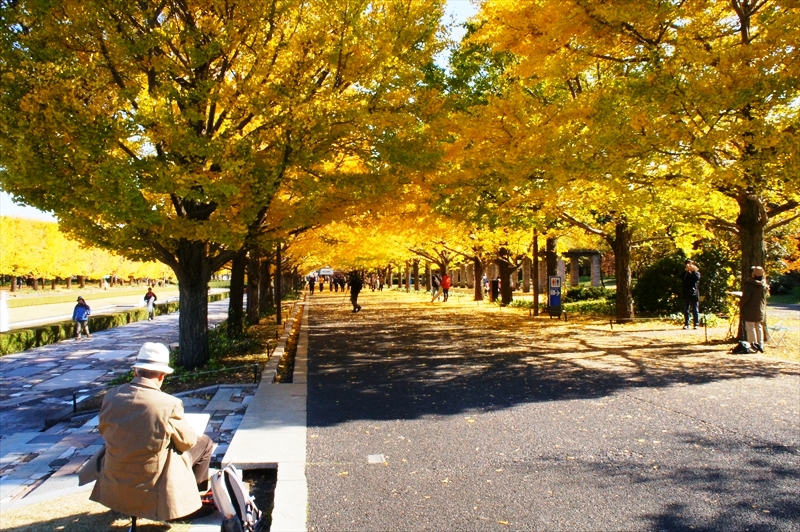 DSC01601_R