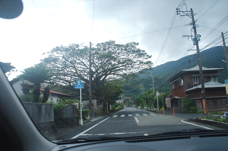 DSC00409_R