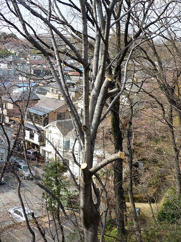 P1040688_R