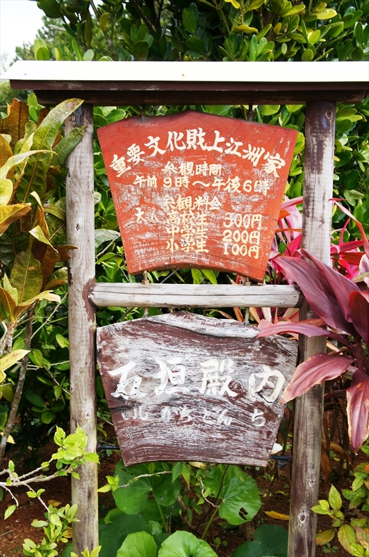 DSC02492_R