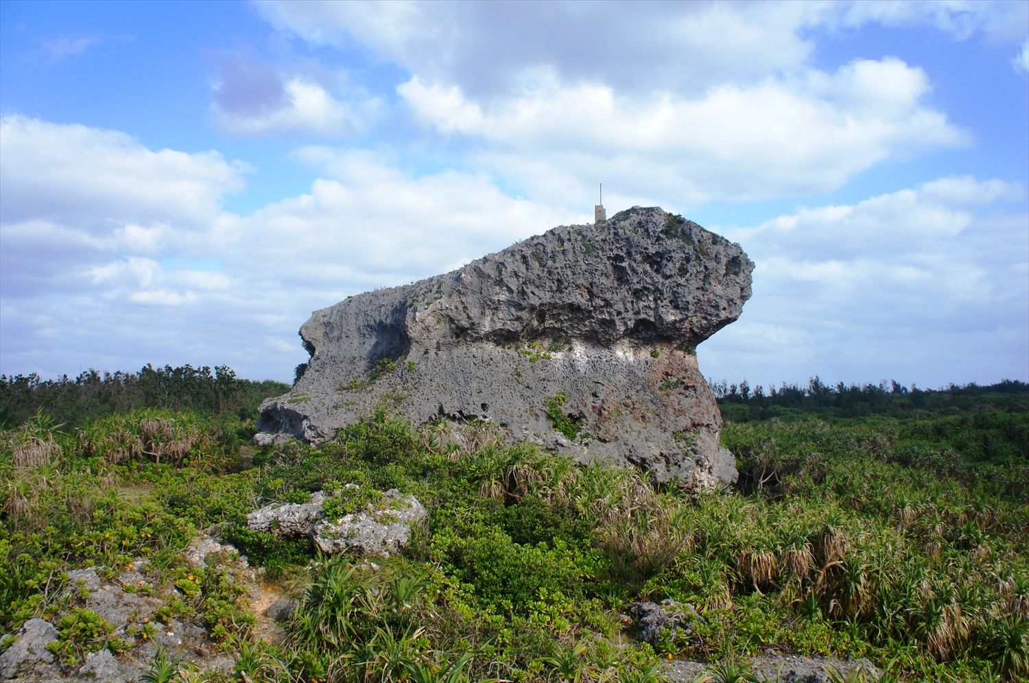 DSC00470_R