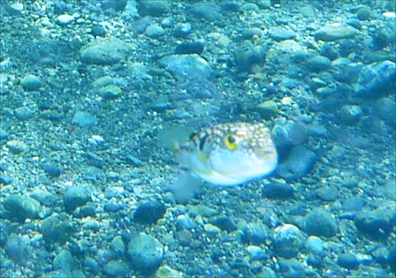 P1150044_R