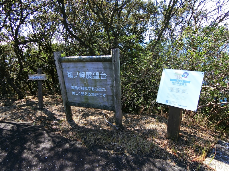 CIMG6431_R