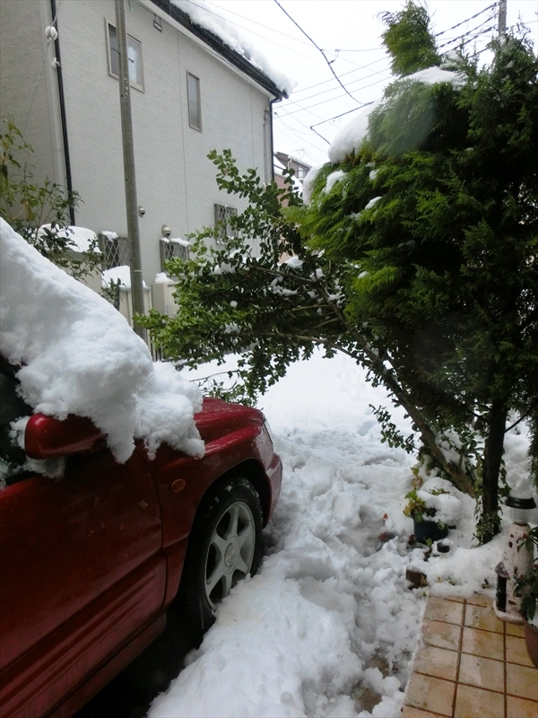 CIMG3333_R