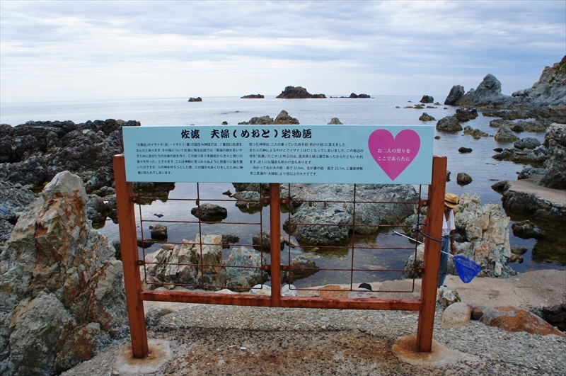 DSC05492_R
