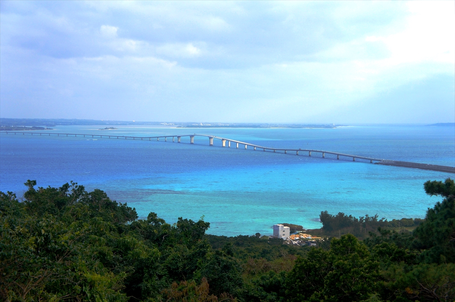 DSC00537_R