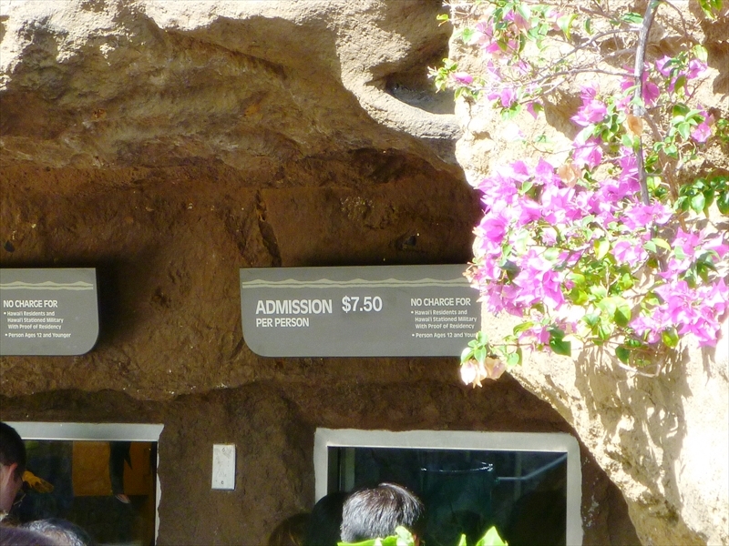 P1020043_R
