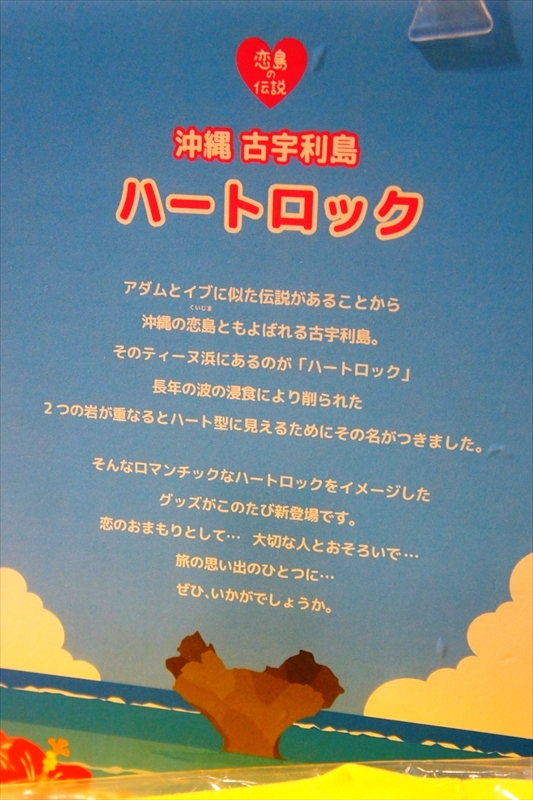 DSC00378_R