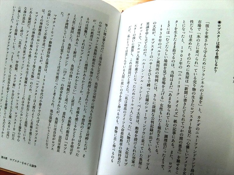 CIMG3816_R