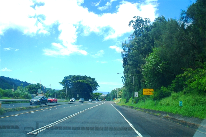 DSC00684_R