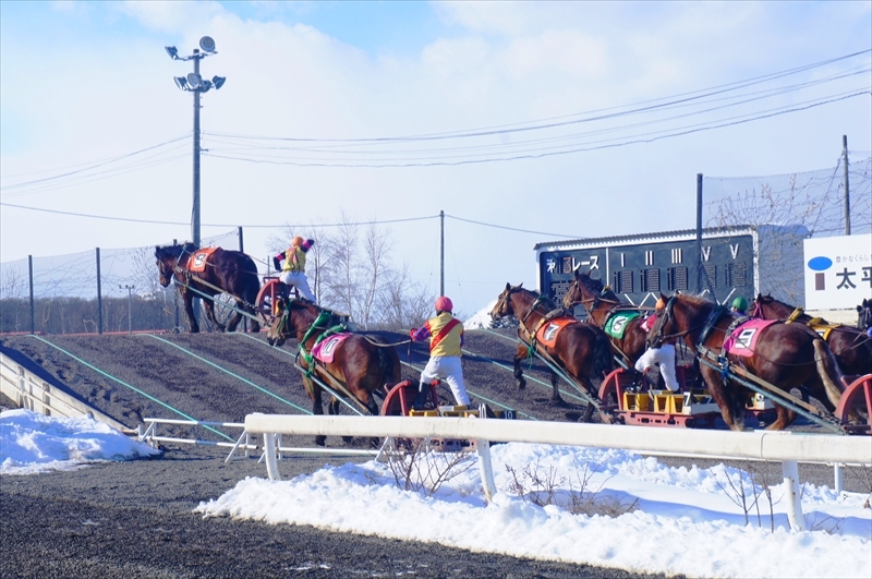 DSC00201_R
