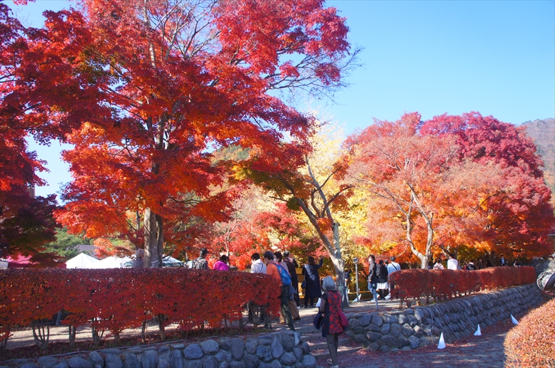 DSC00672_R